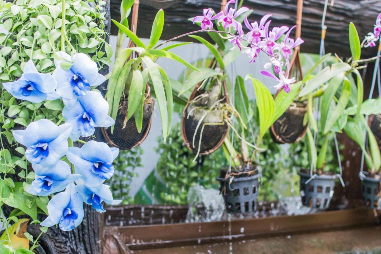 Villa Siam & Spa Bangkok Ngoại thất bức ảnh
